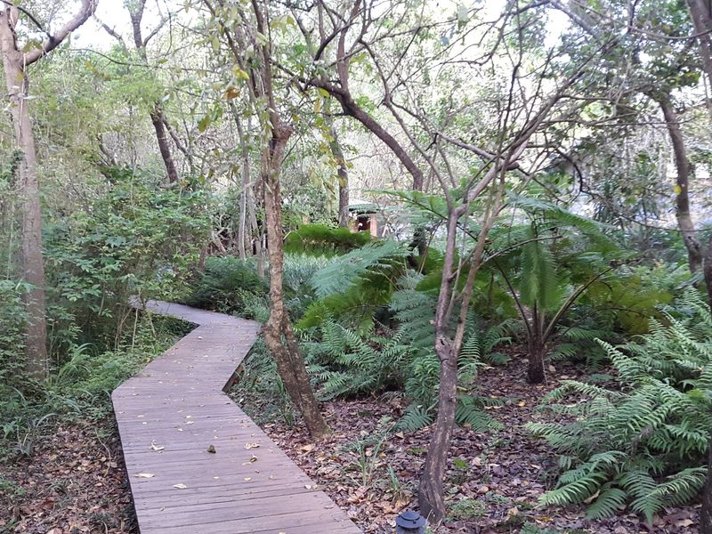 Beautiful  5-Star Tented Lodge, Spa and Restaurant on a 100 acre Macadamia Farm  in Hazyview - Photo 4