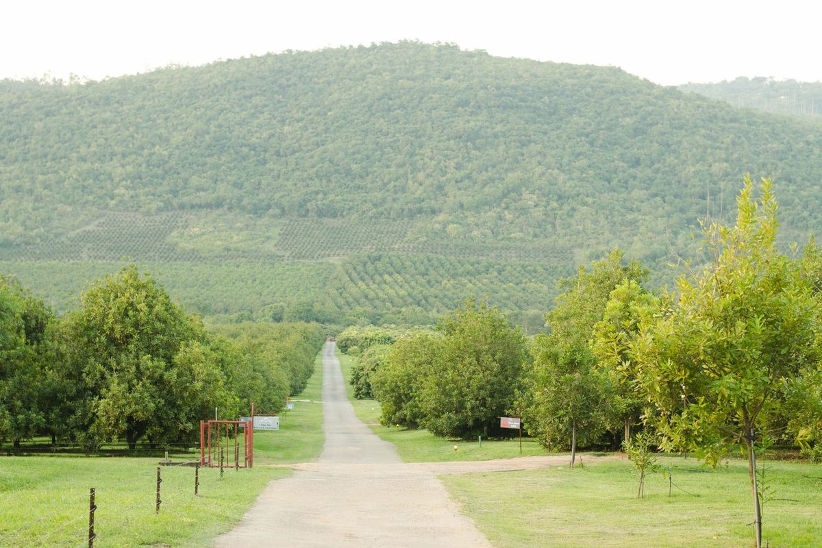 Beautiful  5-Star Tented Lodge, Spa and Restaurant on a 100 acre Macadamia Farm  in Hazyview - Photo 2