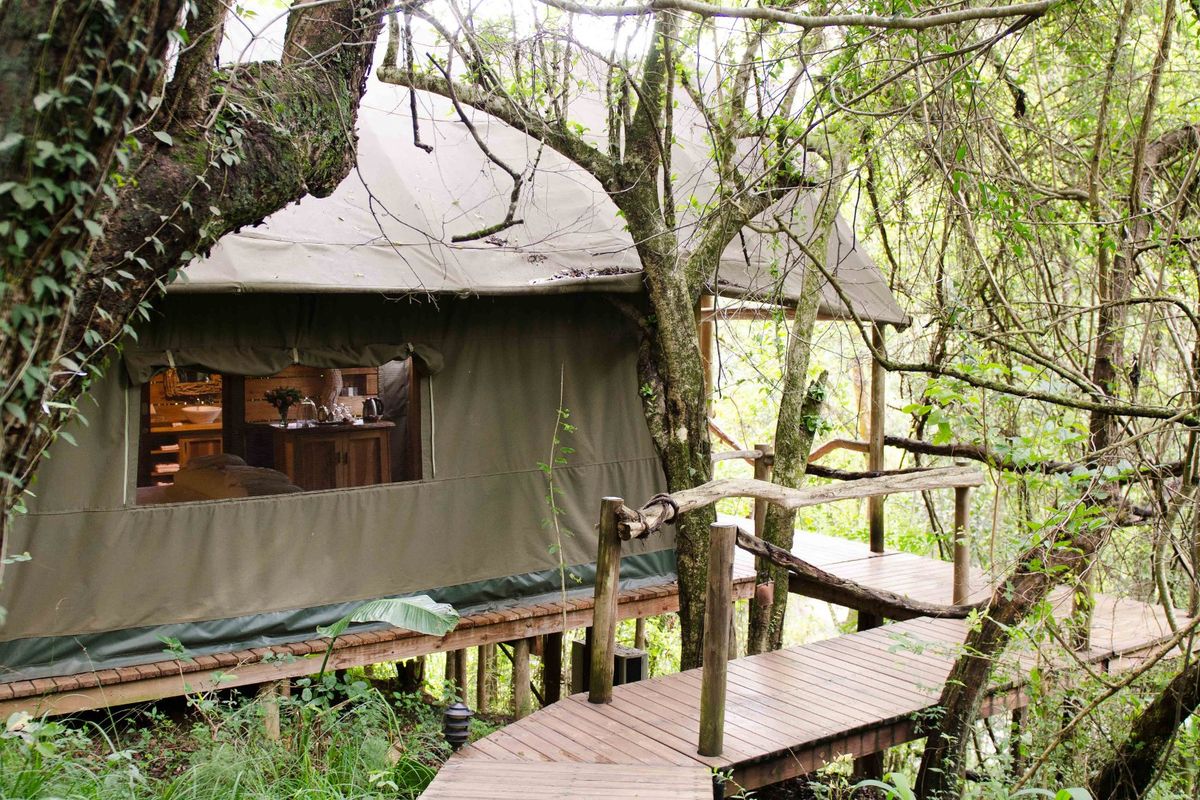 Beautiful  5-Star Tented Lodge, Spa and Restaurant on a 100 acre Macadamia Farm  in Hazyview - Photo 5