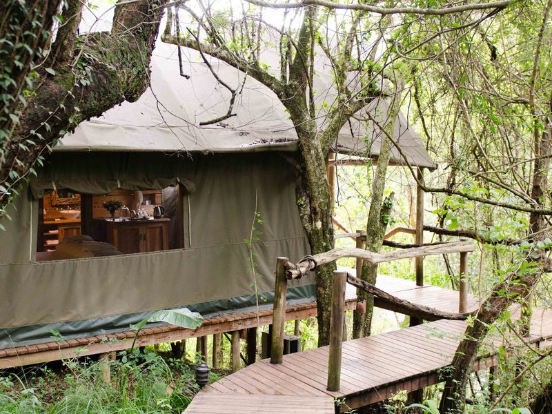 Beautiful  5-Star Tented Lodge, Spa and Restaurant on a 100 acre Macadamia Farm  in Hazyview - Photo 5