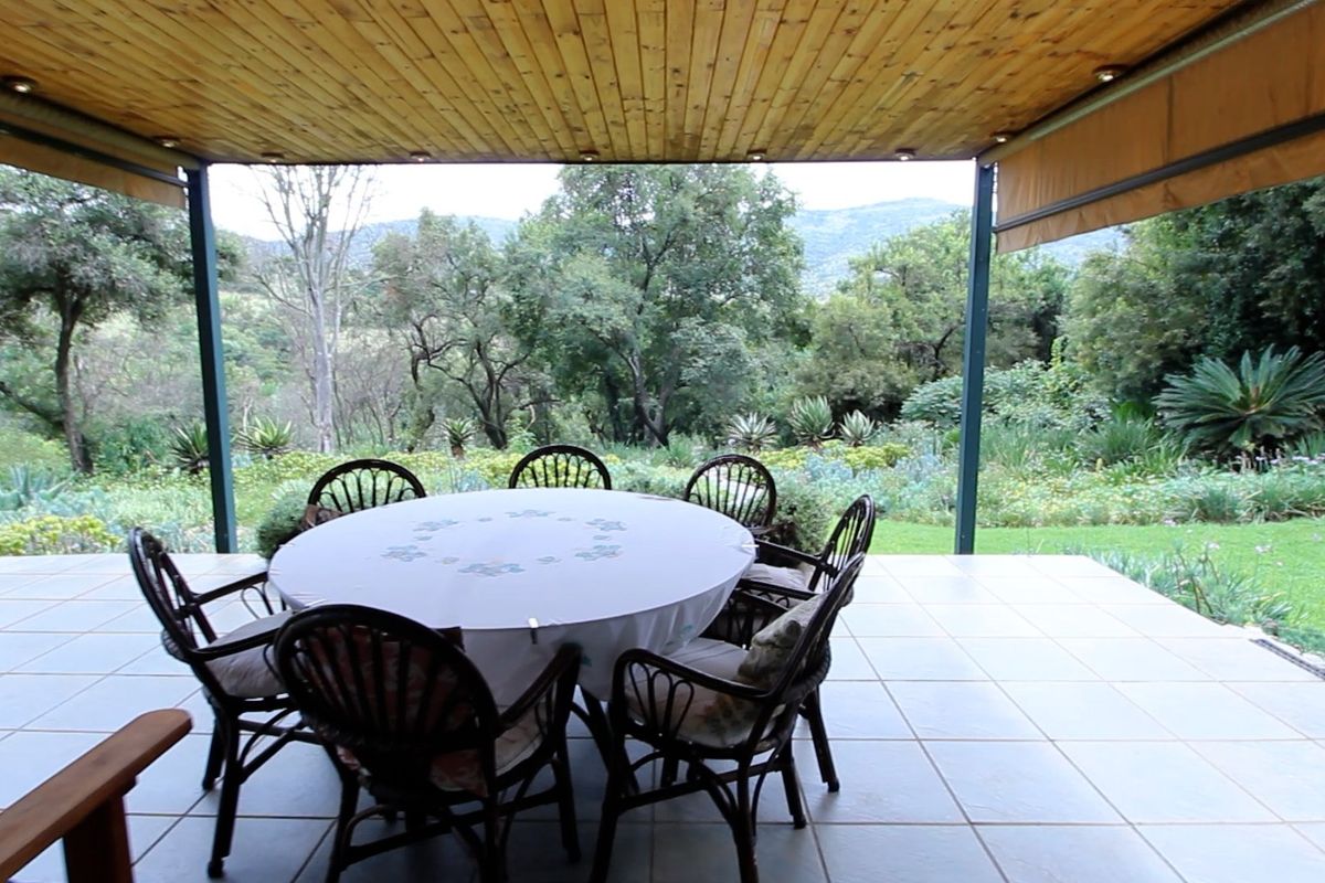 4 Stunning Farms, 4 houses, river frontage in the Crocodile Reserve - Photo 5