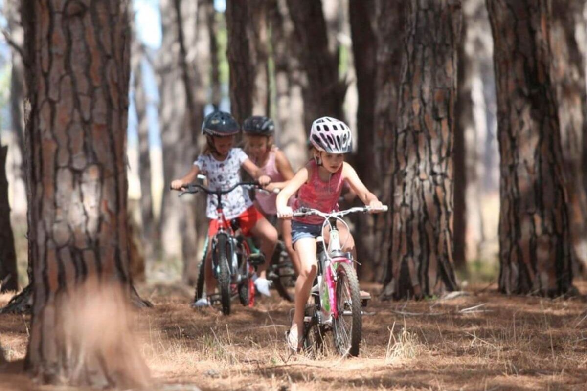 Welcome to StonePine Place – Downsize Without Compromise - Photo 4