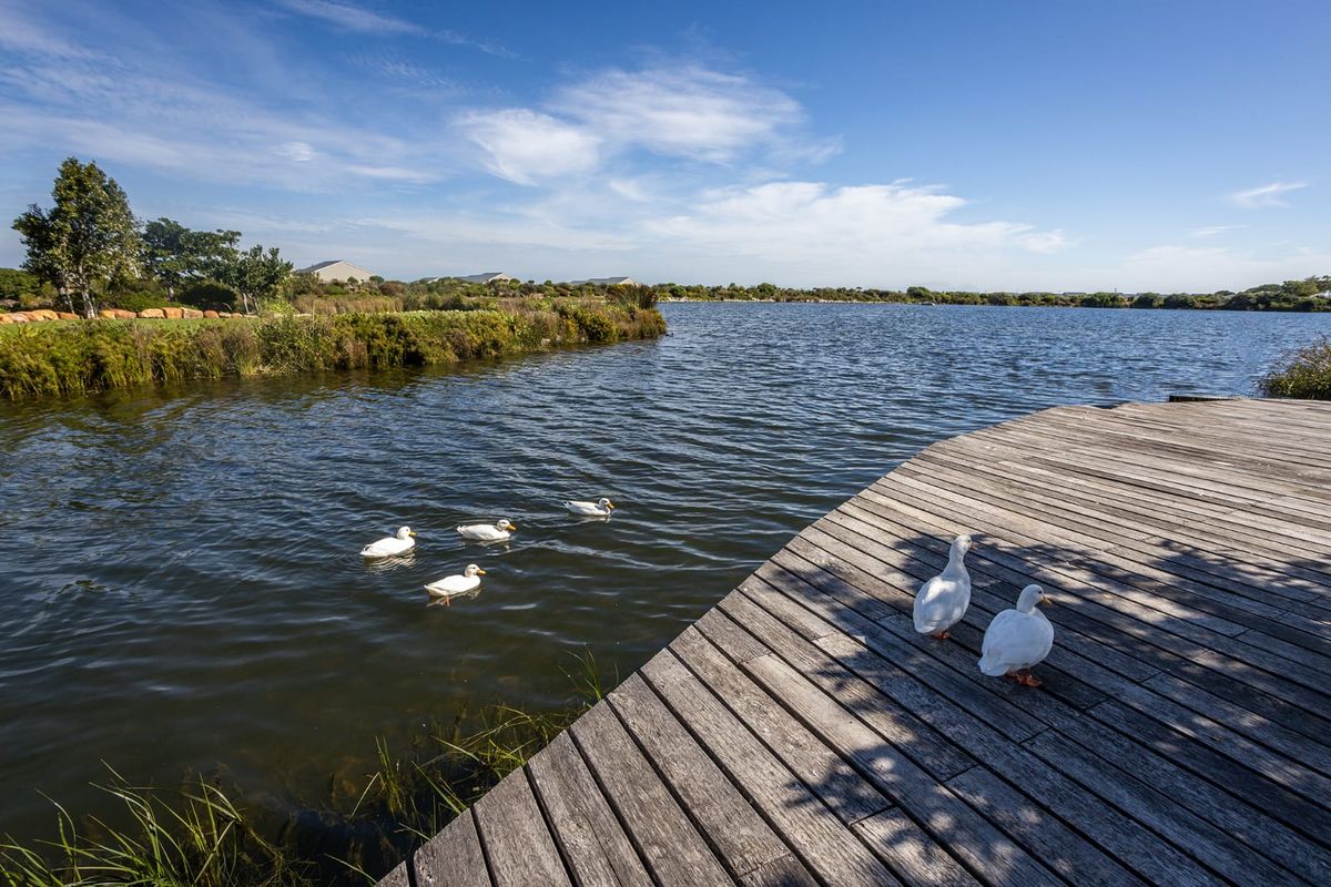 Welcome to StonePine Place – Downsize Without Compromise - Photo 2