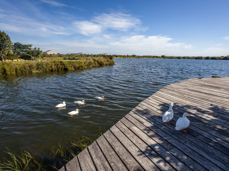 Welcome to StonePine Place – Downsize Without Compromise - Photo 2