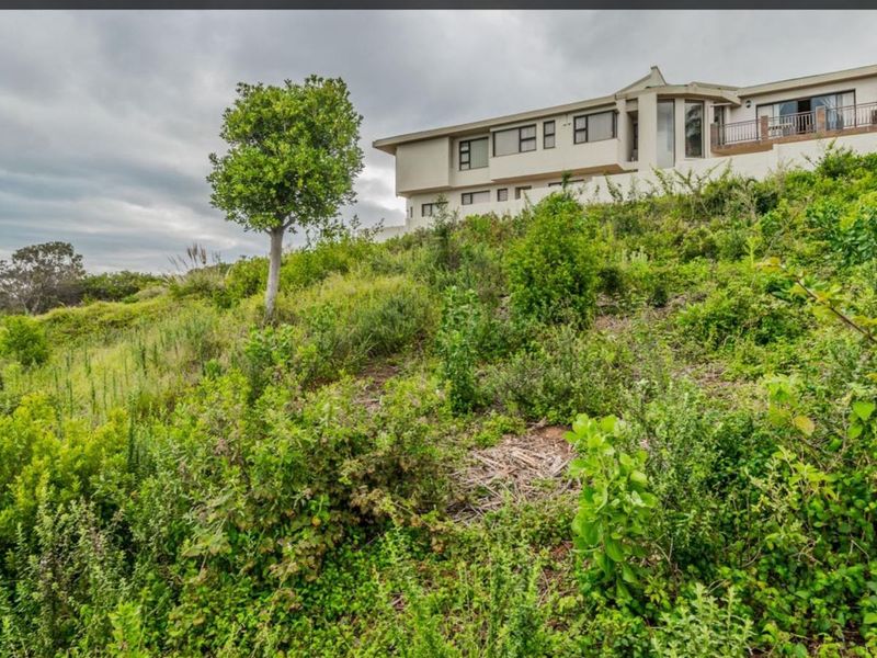 BEST VIEWS OF THE OCEAN! - Photo 6