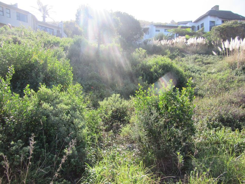 BEST VIEWS OF THE OCEAN! - Photo 7