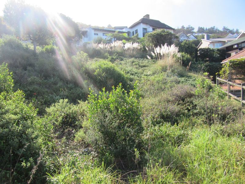 BEST VIEWS OF THE OCEAN! - Photo 8