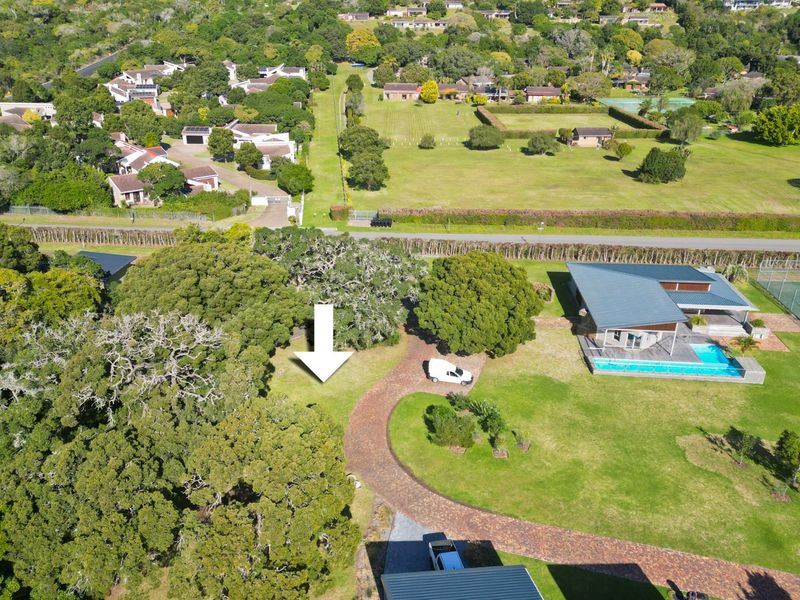 Plot & Plan - Where the forest meets Lagoon - Photo 3