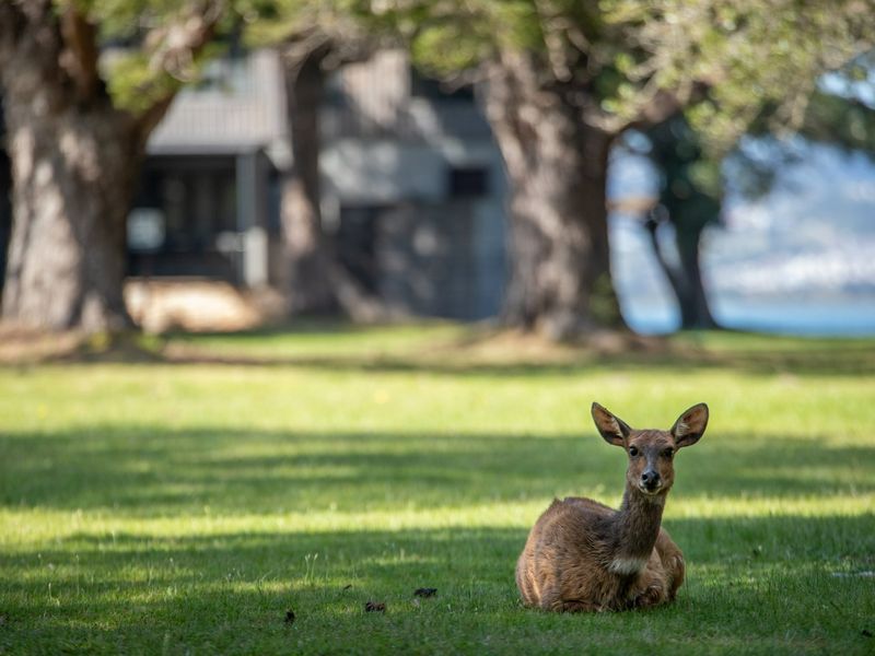 Plot & Plan - Where the forest meets Lagoon - Photo 10