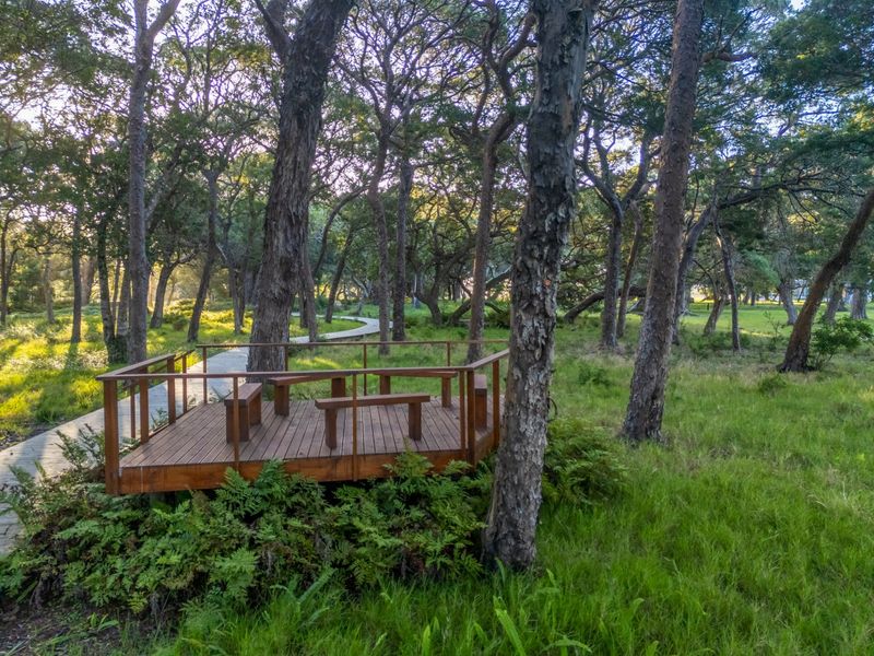 Plot & Plan - Where the forest meets Lagoon - Photo 9