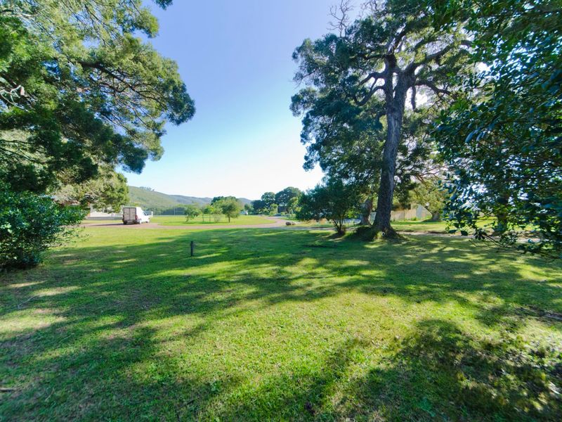 Plot & Plan - Where the forest meets Lagoon - Photo 5