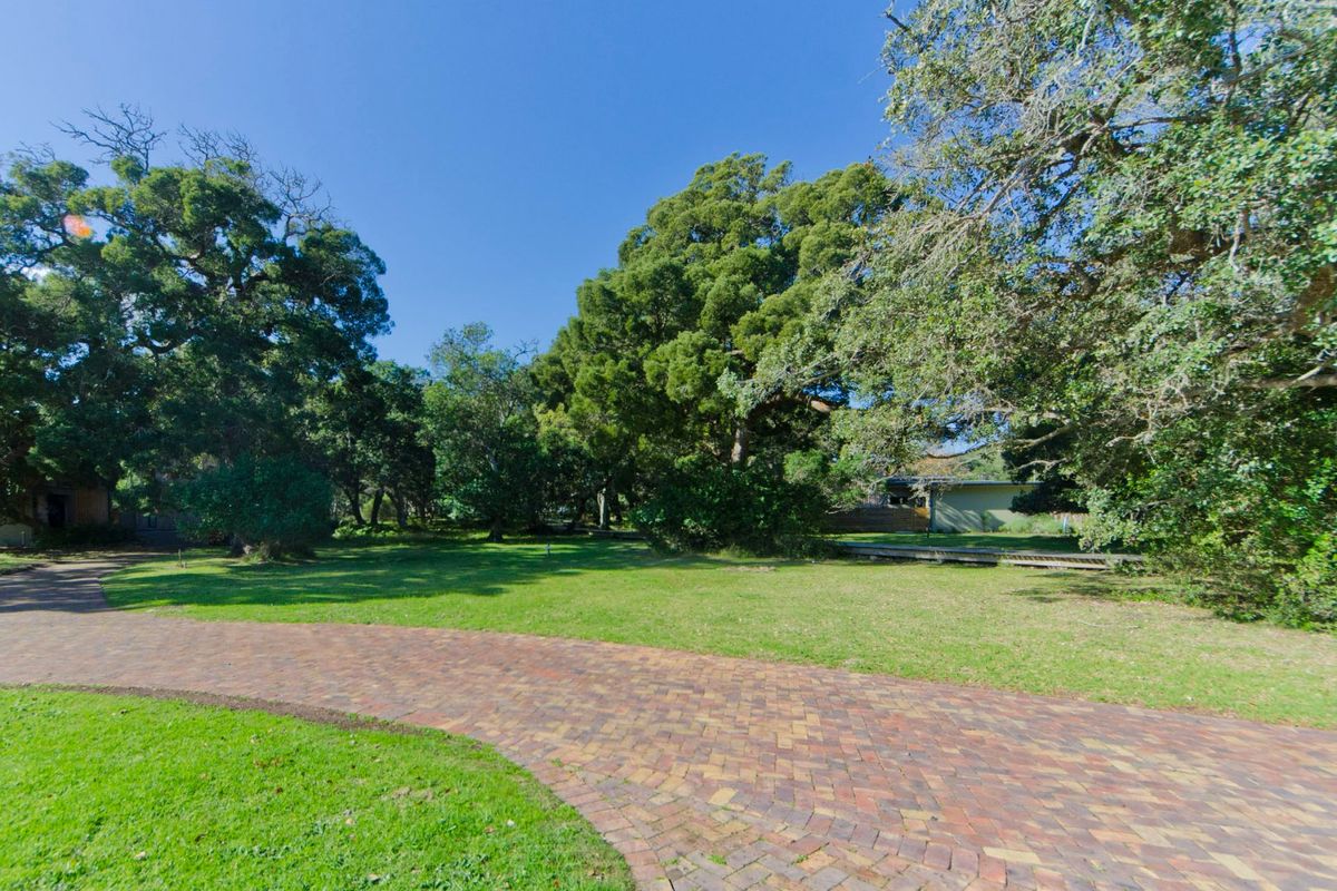 Plot & Plan - Where the forest meets Lagoon - Photo 4