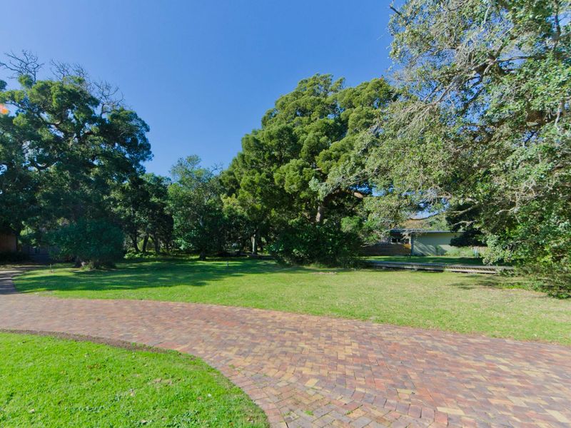 Plot & Plan - Where the forest meets Lagoon - Photo 4