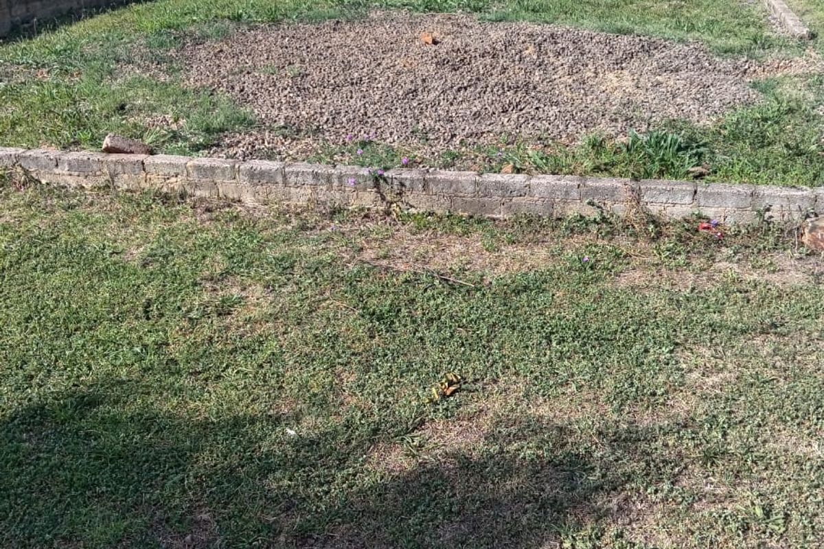 A residential garden area featuring a gravel bed and low brick retaining walls, showing signs of neglect and requiring landscaping maintenance.