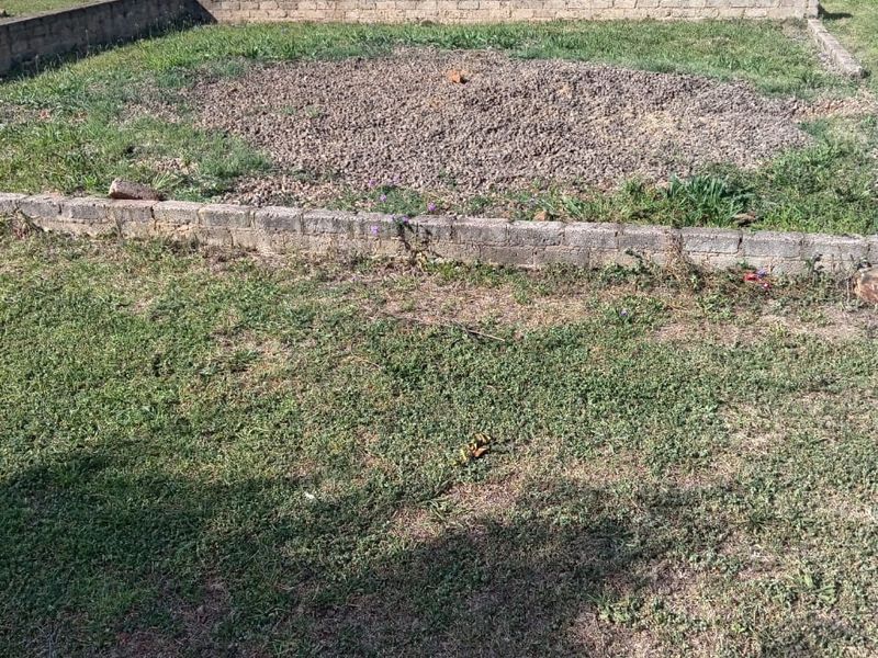 A residential garden area featuring a gravel bed and low brick retaining walls, showing signs of neglect and requiring landscaping maintenance.