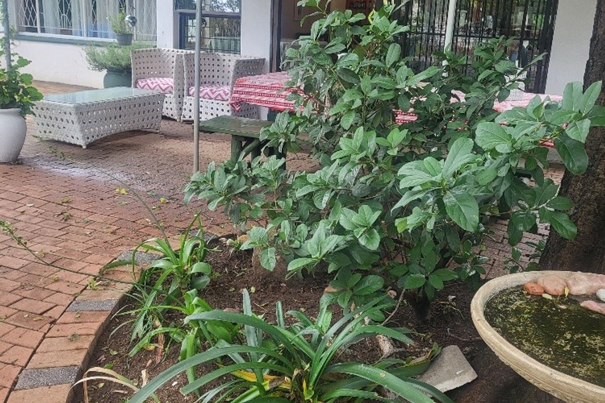 MUCH LOVED, INCOME GENERATING, ESTABLISHED OLDER FAMILY HOME! - Photo 4