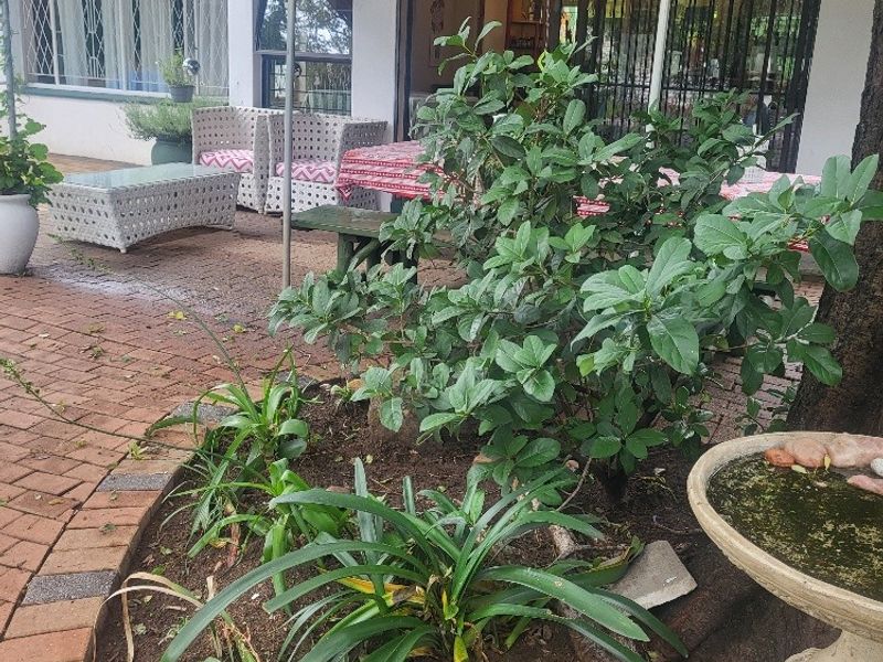 MUCH LOVED, INCOME GENERATING, ESTABLISHED OLDER FAMILY HOME! - Photo 4