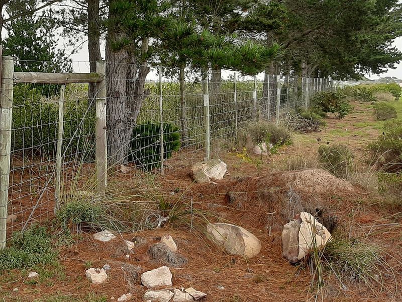 Sole Mandate: Prime Development Opportunity in Secure Aalwyndal - 12.3853 Hectares - Photo 4