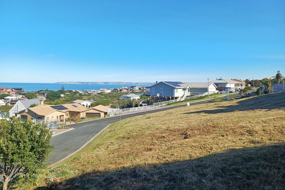 Elevated view overlooking a residential coastal neighborhood with a clear horizon and ocean vista.