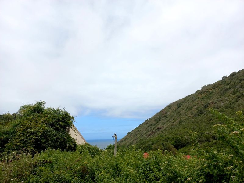 LAND IN VICTORIA BAY REQUIRES A VISION! - Photo 1