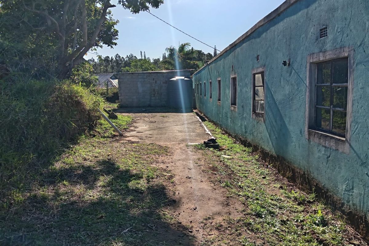 Rear exterior view of the property showing a concrete pathway, water storage tank, and the side facade with multiple steel-framed windows.