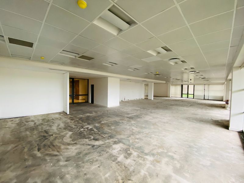P-Grade Office Space Available In Ashlea Gardens - Photo 8
