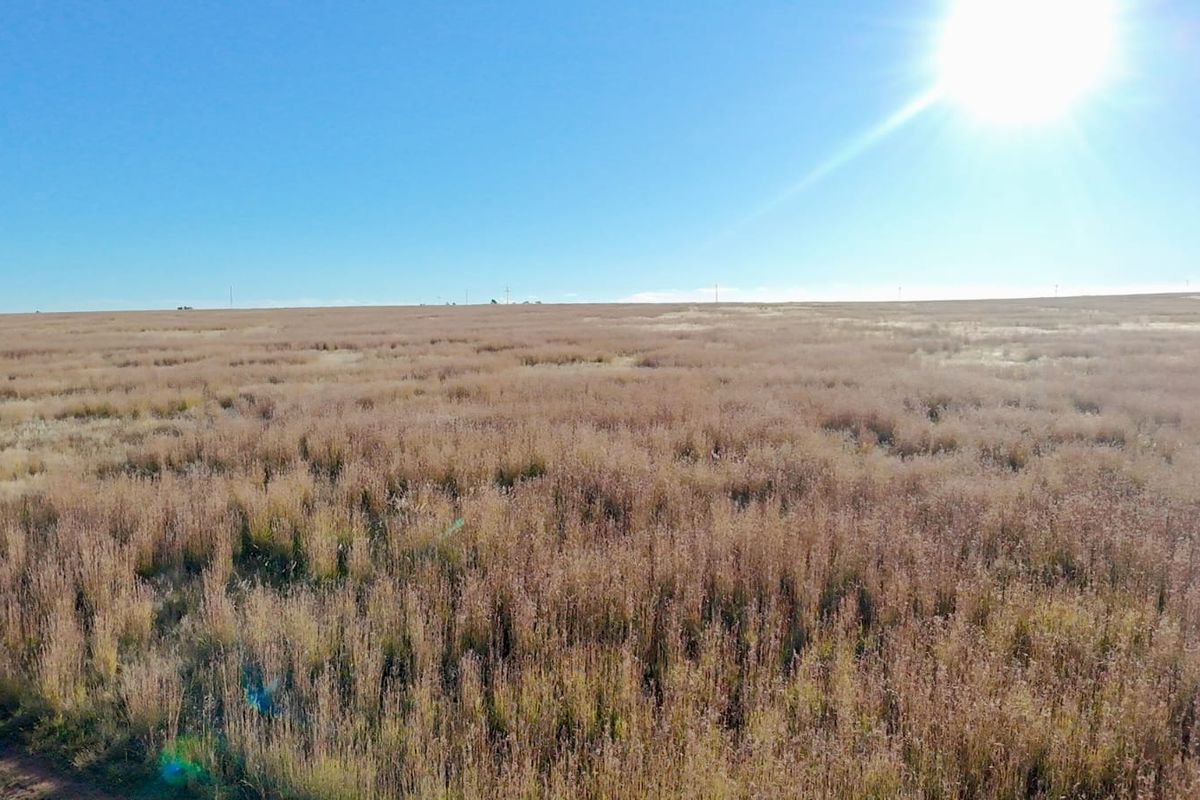 Eco Off-Grid Agricultural Stands  - Photo 5