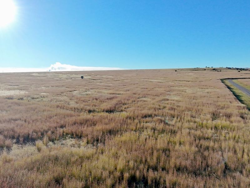 Eco Off-Grid Agricultural Stands  - Photo 9