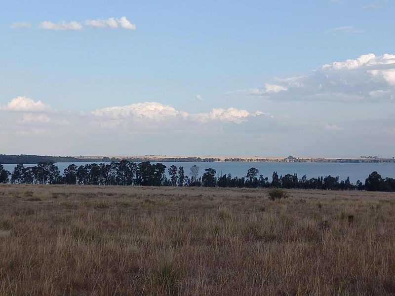 A scenic view of the open landscape featuring natural vegetation and a distant water body under a clear sky.
