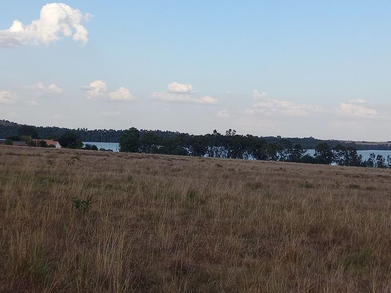 A scenic view of open residential land featuring natural grassland, a mature tree line, and a distant water body.