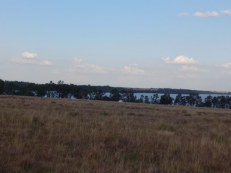 A scenic view of an open grassy field with a line of mature trees and a distant water body under a clear sky.