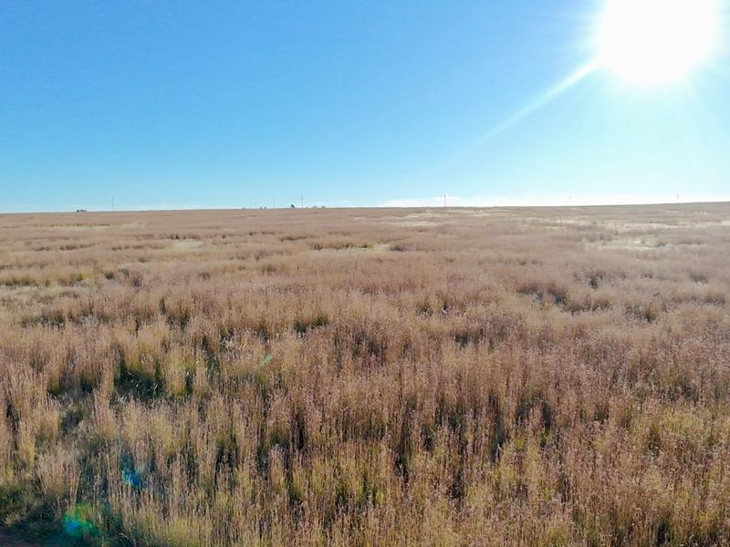 Eco Off-Grid Agricultural Stands  - Photo 4