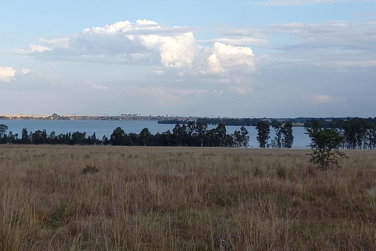 Eco Off-Grid Agricultural Stands  - Photo 5