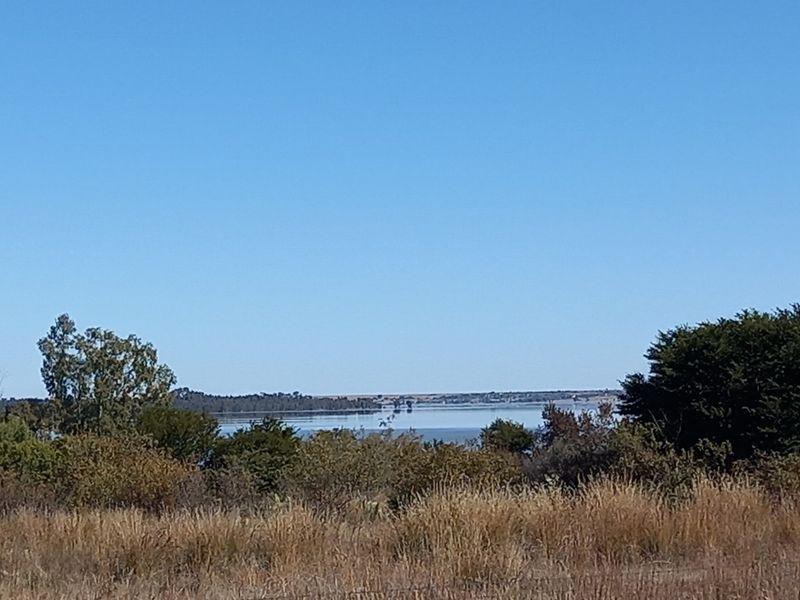 Eco Off-Grid Agricultural Stands - Photo 7