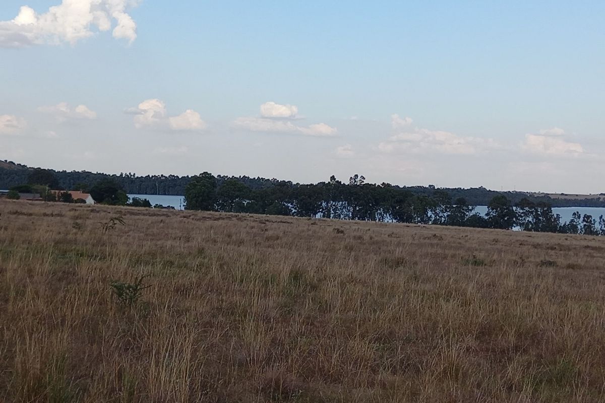 Eco Off-Grid Agricultural Stands  - Photo 5