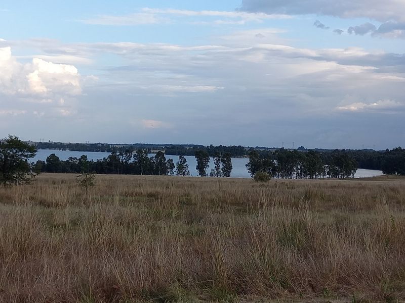 Eco Off-Grid Agricultural Stands  - Photo 10