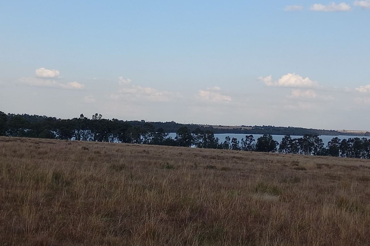 Eco Off-Grid Agricultural Stands  - Photo 5