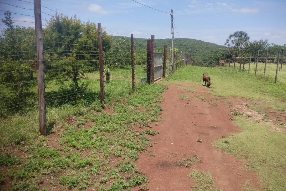 Farm for sale in Empangeni - Photo 5