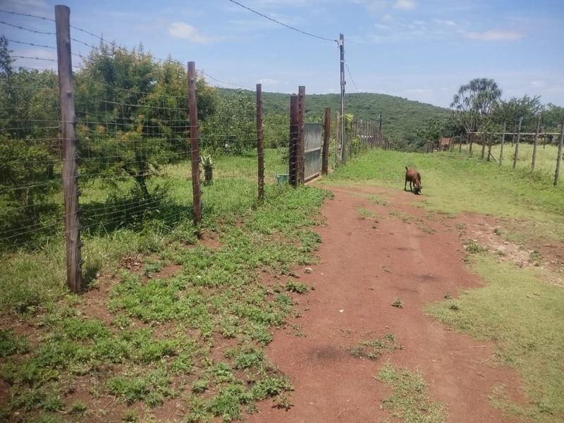 Farm for sale in Empangeni - Photo 5