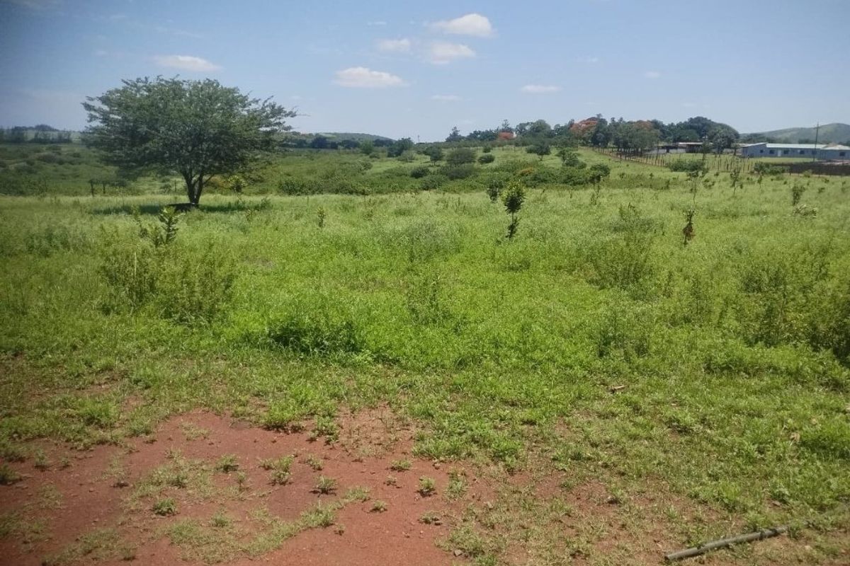 Farm for sale in Empangeni - Photo 4