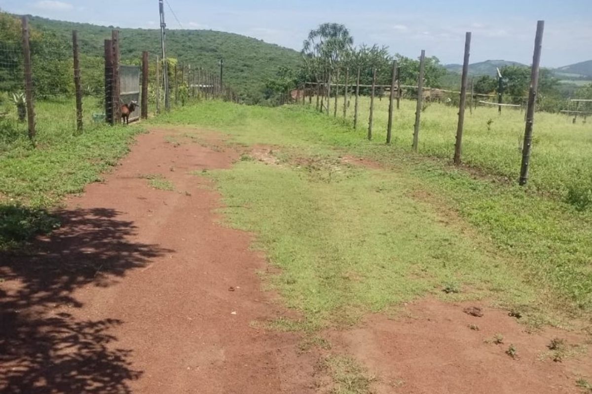 Farm for sale in Empangeni - Photo 3