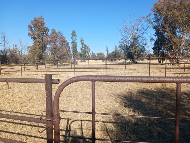 Exceptional 881-Hectare Farming Property for Sale in Vryburg District - Photo 10
