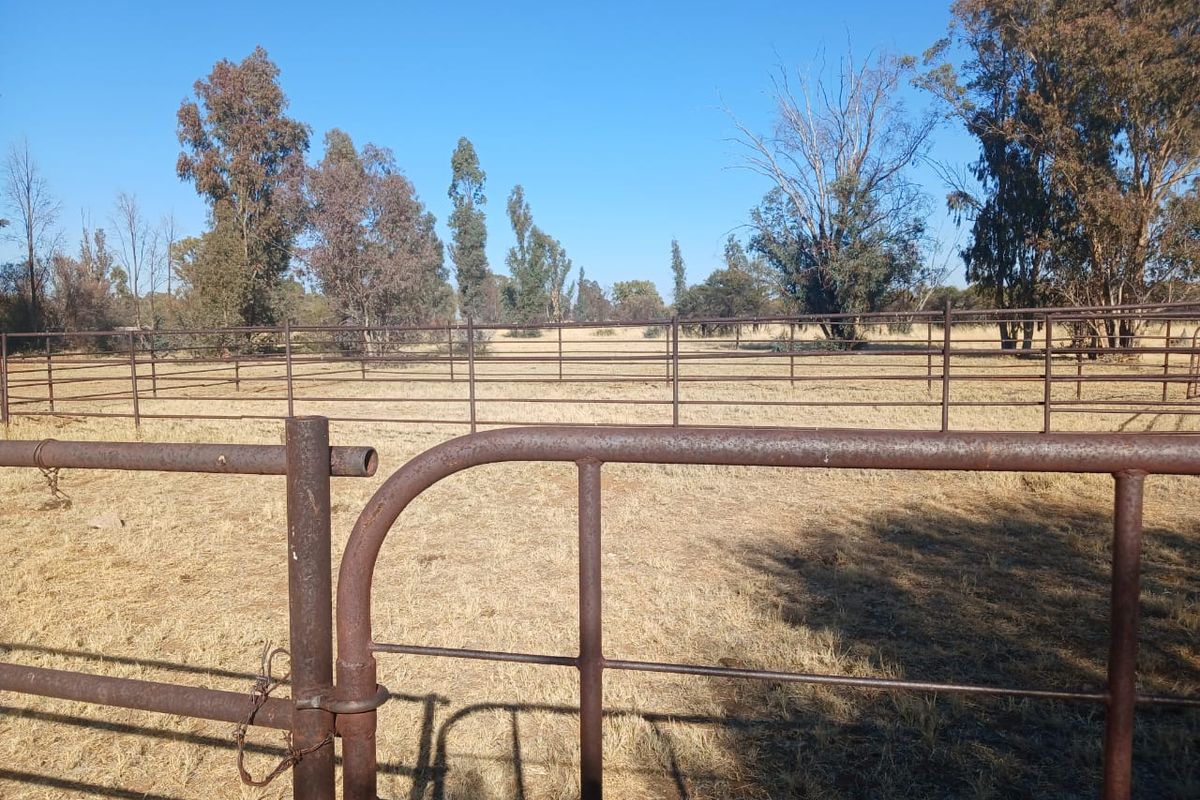 Prime 995-Hectare Livestock Farm for Sale in the Vryburg District - Photo 5