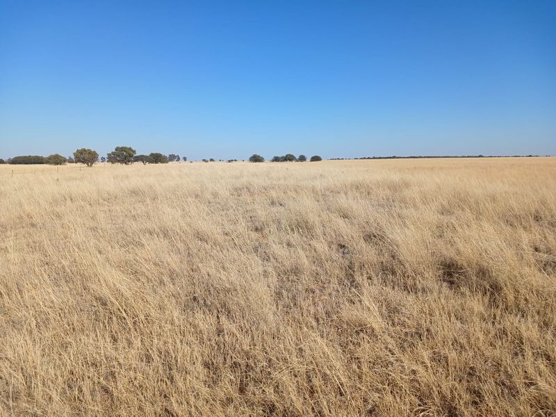Prime 995-Hectare Livestock Farm for Sale in the Vryburg District - Photo 10