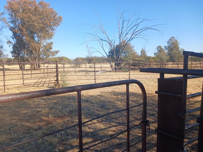 Prime 995-Hectare Livestock Farm for Sale in the Vryburg District - Photo 6