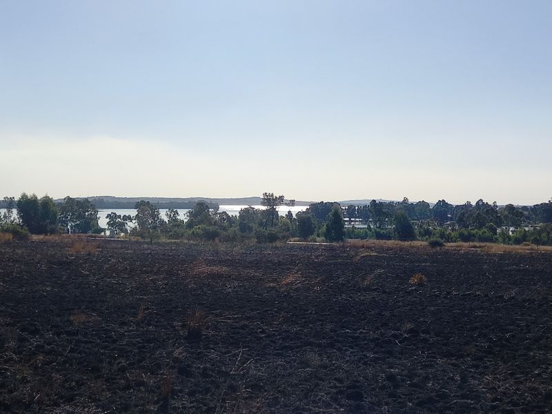 Eco Off-Grid Agricultural Stands  - Photo 7