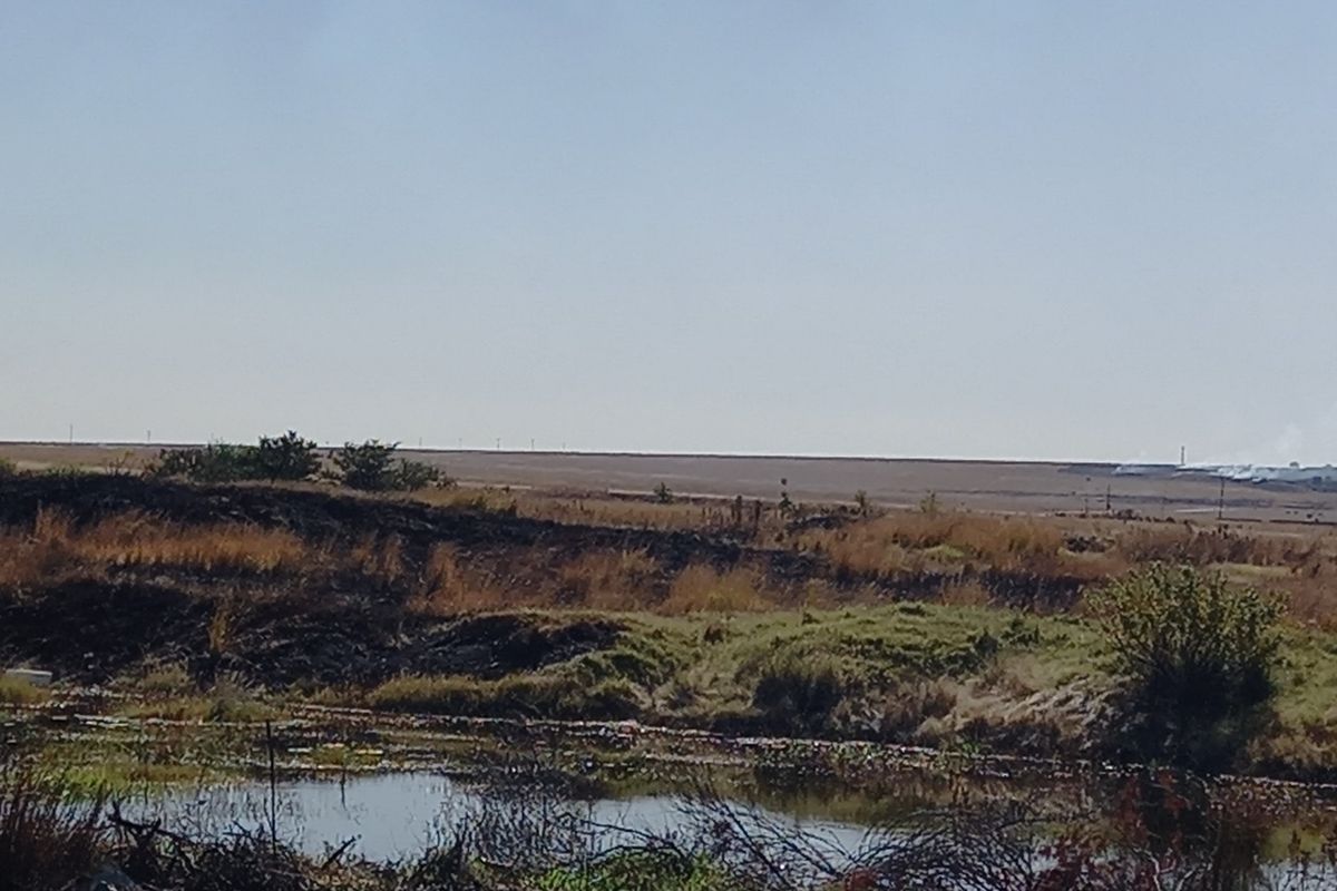 Eco Off-Grid Agricultural Stands  - Photo 5