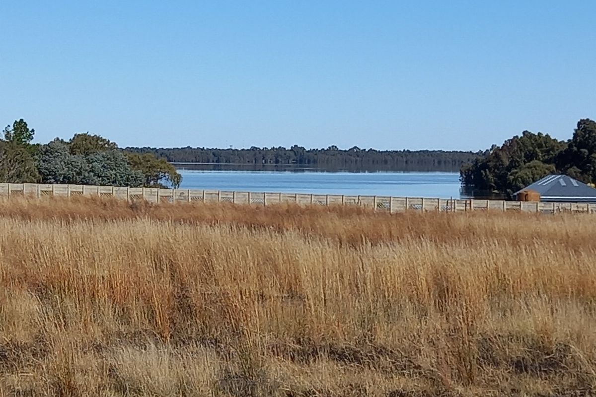 Eco Off-Grid Agricultural Stands  - Photo 4