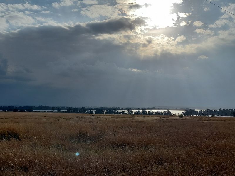 Eco Off-Grid Agricultural Stands  - Photo 10