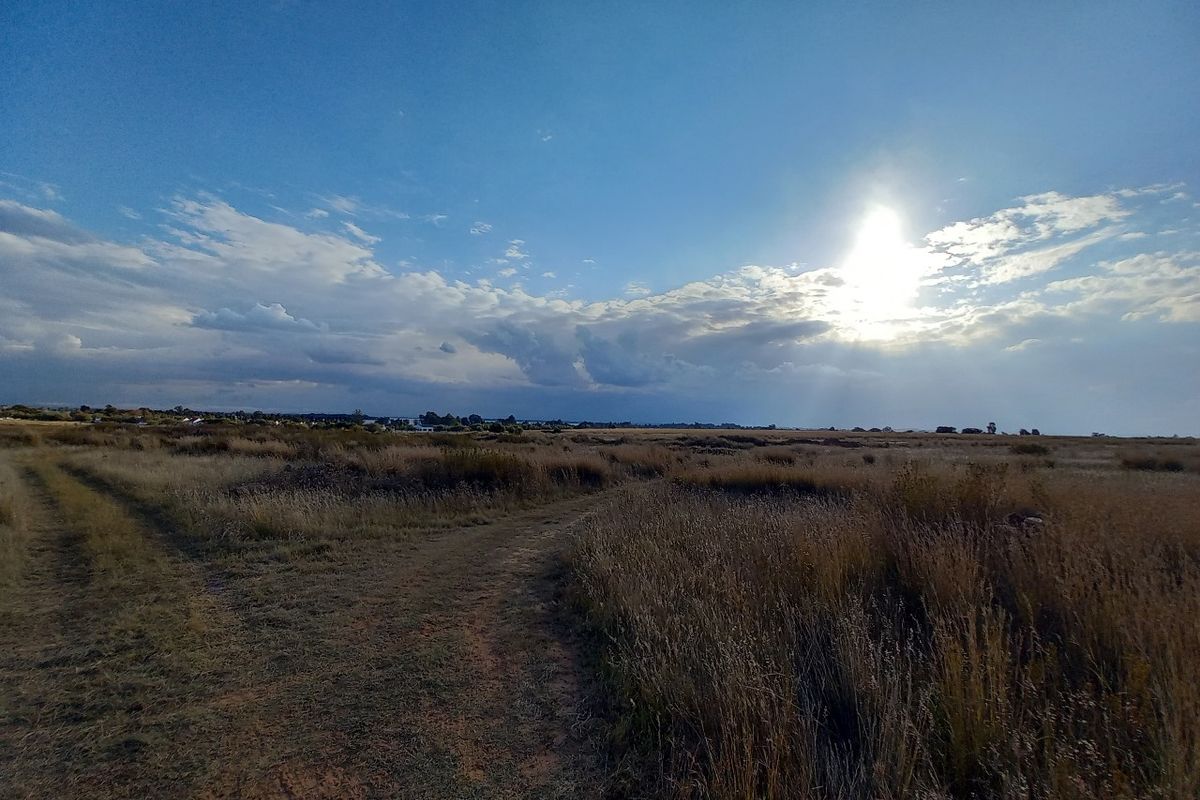 A wide-angle view of an expansive, undeveloped residential plot featuring natural grassland and a dirt access track under a bright sky.